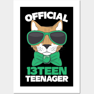 Official Thirteen 13 Teenager Cool Cat Posters and Art